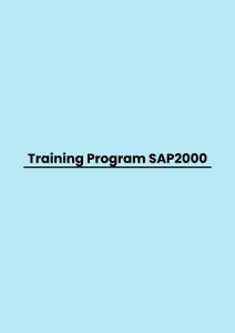 Training Program SAP2000