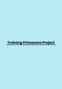 Training Primavera Project pelatihan Primavera Project online