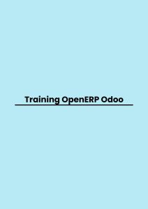 Training OpenERP Odoo